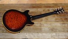 Ibanez AM205AV_3