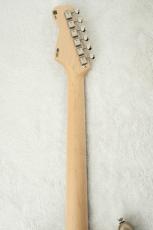 FREEDOM CUSTOM GUITAR RESEARCH Custom Order RS ST SSH Alder -Frost Gold w/Matching Head-_9