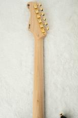 FREEDOM CUSTOM GUITAR RESEARCH Custom Order RS ST SSS Alder -3 Tone Sunburst w/Gold Parts-_9