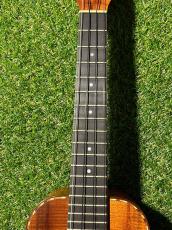 Kamaka HB-2D 【角度を変えるたび、木目が踊りだす】#240151_3