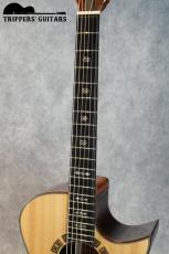 Ervin Somogyi SJ Cutaway (1999) _7