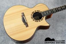 Ervin Somogyi SJ Cutaway (1999) _14