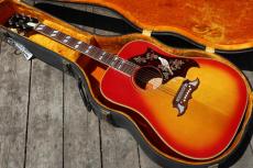 Gibson Dove