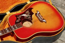 Gibson Dove_2