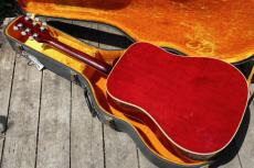 Gibson Dove_3