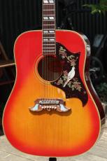 Gibson Dove_6