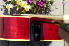 Gibson Dove_9