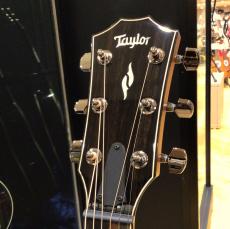 Taylor 814ce J-Spec_3