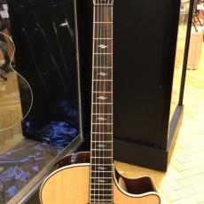 Taylor 814ce J-Spec_4