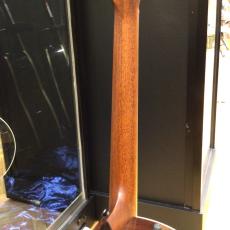 Taylor 814ce J-Spec_8