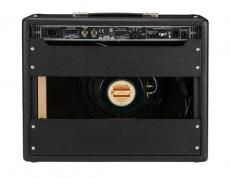Fender Tone Master Princeton Reverb_2
