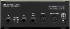 Free The Tone FLIGHT TIME FT-2Y_2