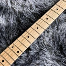 Black Smoker Standard Series SIGMA-SSS Black/Maple w/Gold Anodized Pickguard【特価】【2025年製】_5