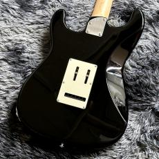 Black Smoker Standard Series SIGMA-SSS Black/Maple w/Gold Anodized Pickguard【特価】【2025年製】_9