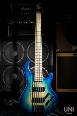 Provision Custom Order Bass_2