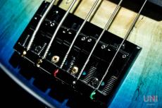 Provision Custom Order Bass_5