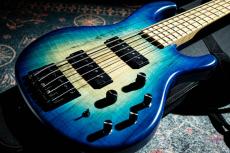 Provision Custom Order Bass_9