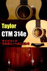 Taylor 【個体演奏動画あり】CTM 314e S/N 1205235098【ノンカッタウェイ】【サイド&バック マホガニー】