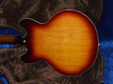 Archtop Tribute AT135STP_3