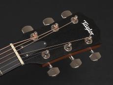 Taylor 210ce Rosewood Plus_3