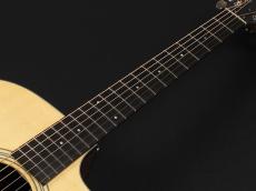 Taylor 210ce Rosewood Plus_7