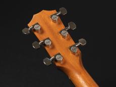Taylor 210ce Rosewood Plus_8