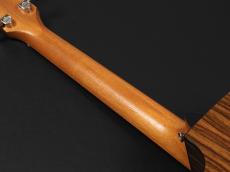 Taylor 210ce Rosewood Plus_9