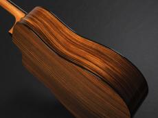 Taylor 210ce Rosewood Plus_11