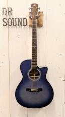Morris R-14G SBU 【L.R.Baggs Element搭載】_2