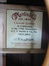 Martin CTM D-45 170th Anniversary / Vertical Logo・Abalone Trim and Rosette・Italian Alpine Spruce Top・Indian Rosewood Side and Back・One-Piece Mahogany Neck・Original Black Pick-guard 【With Original Hard Case】 _8