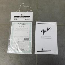 Fender Classic 69 Telecaster Thinline_8