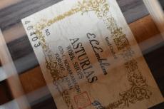 ASTURIAS E.C. EMBLEM_16
