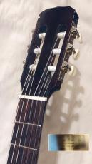 KAZUO HASHIMOTO No.270_5