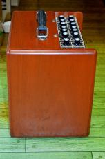 PETERSON P100G MKII/EV_5