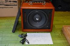 PETERSON P100G MKII/EV_6