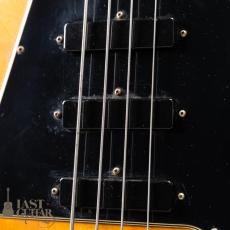 Gibson Grabber III (G-3)_4