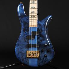 Spector Japan Exclusive Series Euro 4 CST  ~Black & Blue w/White Back Gloss~