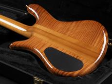 Spector Custom Shop NS-2 Walnut Burl/Curly Redwood ~Natural High Gloss~_12