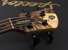 Spector Custom Shop NS-2 Buckeye Burl/Flame Maple ~Tinted Natural High Gloss~_3