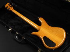 Spector Custom Shop NS-2 Buckeye Burl/Flame Maple ~Tinted Natural High Gloss~_13