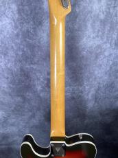 Vanzandt TLV-R2 3TS_8