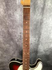 Vanzandt TLV-R2 3TS_9