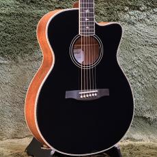 Paul Reed Smith [PRS] SE A20E -Black Top- #F27045【42回迄金利0%対象】【送料当社負担】