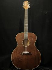 Takamine PT-007 LTD_2