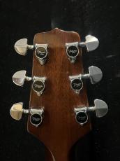 Takamine PT-007 LTD_6