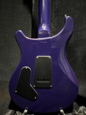 Paul Reed Smith [PRS] SE Standard 24-08_4