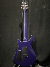 Paul Reed Smith [PRS] SE Standard 24-08_5