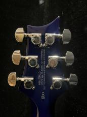 Paul Reed Smith [PRS] SE Standard 24-08_6