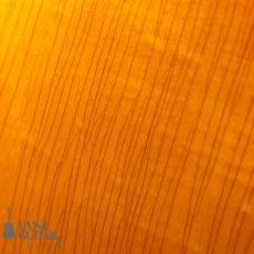 Gibson Byrdland ’69_13