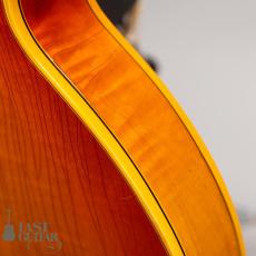 Gibson Byrdland ’69_14